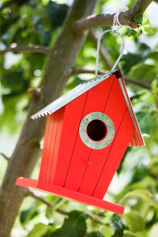 Apartamentos Rurales L'Abiseu Caboalles de Abajo Εξωτερικό φωτογραφία